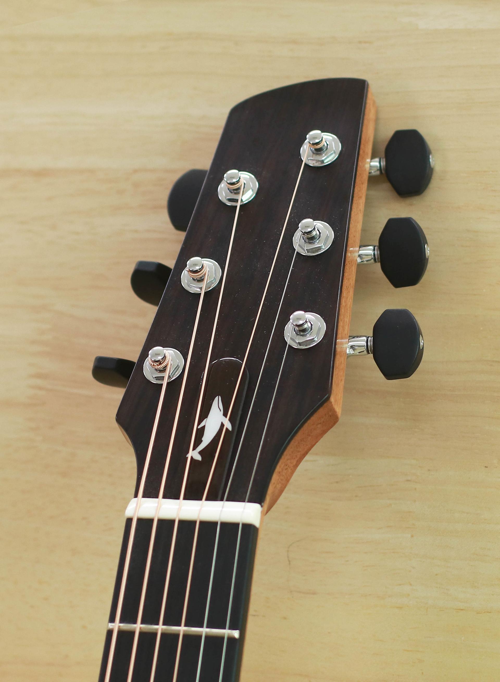 Cetus Guitars